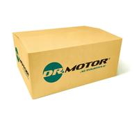 Mariposa de gases de escape DCMDRM81004 LIZARTE