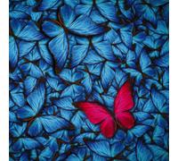 MARIPOSA PINTURA MAGENTA G2088 Quadro