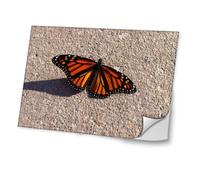 Mariposas 10008, Diseño Mejor Pegatina de Vinilo Protector con Efecto Cuero Extraíble Adhesivo Sticker Skin Decal Decorativa Tapa con Diseño Colorido para Portátil 17''.