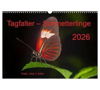 Mariposas (calendario de pared 2026 DIN A3 horizontal), calendario mensual CALVENDO