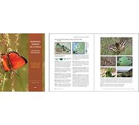 Mariposas diurnas de La Rioja: (Lepidoptera-Papilionoidea) (Ciencias de la Tierra)