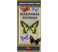 Mariposas Diurnas