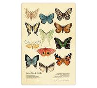 Mariposas y polillas Ejercicios de construcción de espalda Letreros de hojalata Fitness Personas Guía de referencia Pósteres Gimnasio Placas instructivas retro Decoración de pared para sala de