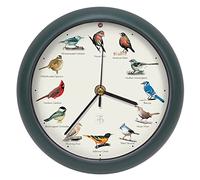 Mark Feldstein The Original - Reloj de pájaro Cantante, edición 25 Aniversario (20,3 cm, Verde)