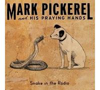 Snake in the Radio
