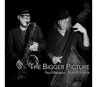 Mark R Harris - The Bigger Picture