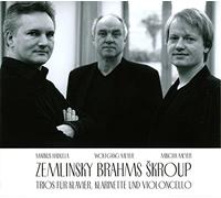 Markus Hadulla (Klavier) - Zemlinsky - Brahms & Skroup : Trios pour Piano, Clarinette et Violoncelle