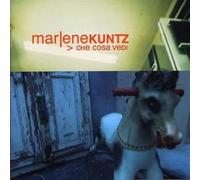 Marlene Kuntz - Che Cosa Vedi (Clear 20° Anniversary ) [Vinilo]