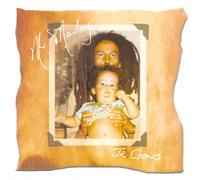 Marley, Damian Jr.Gong - Mr Marley