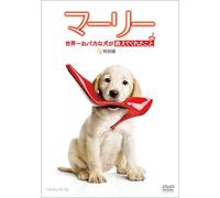 Marley & Me [DVD de Audio]