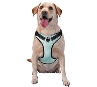 Mármol Verde Menta Pastel,Arnés para Mascotas, arnés Reflectante Ajustable para Perros,XL