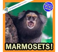 Marmosets!: A My Incredible World Picture Book for Children (My Incredible World: Nature and Animal Picture Books for Children)