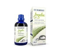 Marnys Argeloe - Agua Purificante, Calmante y Protectora de la Piel - Calmante con Aloe Vera y Plata Coloidal - Un Plus Diario para la Higiene de Tu Piel - Botella 100 Ml con Tapón Gotero