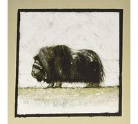 Maroccolo Gianni - Alone Volume 1 [Vinilo]