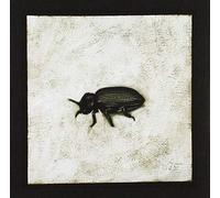 Maroccolo Gianni - Alone Volume 4