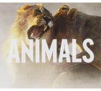 Maroon 5 - Animals (2-Track)