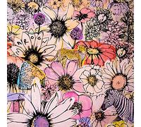 Maroon 5 - Jordi (Japanese Edition) (incl. bonus tracks)