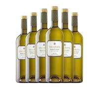 Marqués de Cáceres Excellens Sauvignon Blanca Rioja 75 cl Vino blanco (Caja de 6 Botellas de 75 cl)