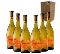 Marqués de Vizhoja - Ideal para Maridar con Pescados y Arroces - Pack 6 Botellas 75cl