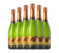 Marrugat Natura+ Brut Nature Cava Reserva 75 cl Espumoso blanco (Caja de 6 Botellas de 75 cl)