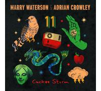 Marry Waterson & Adrian Crowley Cuckoo Storm (Vinyl) (Importación USA)