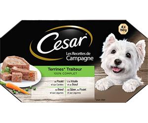 Mars Cesar Les Recettes de Campagne - Barquettes en terrine pour Chien Adulte aux 4 saveurs Traiteur, 24 barquettes de 150g