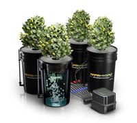 MARS HYDRO DWC Hydrokultur Anbausystem 5 Gallonen Tiefwasserkultur mit 11W Luftpumpe, Mehrzweck-Luftschlauch, Luftstein, 4 Eimern und Topf-Tropfkit
