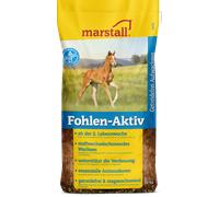Marstall Potro Activo - 20 kg Marstall
