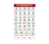 Martial Arts Fundamentals Poster for Karate Student Practice Area | Learn proper weight distribution hip alignment knee angle for each basic fighting stance(Unframed,12x18inch(30x45cm))