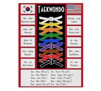 Martial Arts Knowledge Metal Sign Vintage Taekwondo Poster Wall Decor for Man Cave Home Gym Study Room Gift for Black Belt Fighter 8 X 12 inch
