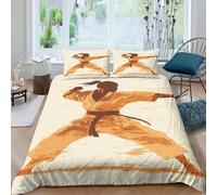 martial arts style Funda Edredon Microfibra Suave Juego de 3 Piezas Estampado 3D martial arts estilo Funda de Edredón con Funda de Almohada Antibacteriana Lavables for niña Super king（260x220cm）