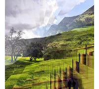 Martin Archer & Bo Meson - Martin Archer & Bo Meson: Echoic Enchantment [CD]