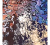 Martin Archer / Herve Perez - The leaf factory fallback