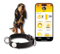 Martin Coach - Rastreador de actividad y nutrición para perros - Colgante conectado Bluetooth con aplicación móvil - Seguimiento de salud, alimentación y ubicación sin suscripción