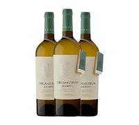 Martín Códax Organistrum Albariño Rías Baixas Crianza 75 cl Vino blanco (Caja de 3 Botellas de 75 cl)