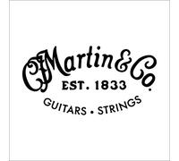 MARTIN cuerda acústica Lifespan 2.0 acero macizo .012 (MTR12HTT)