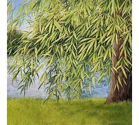 Simpson, Martin - Nothing But Green Willow: The Songs Of Mary Sands And Jane Gentry