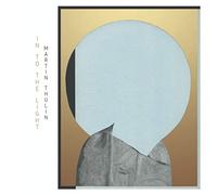 Martin Thulin - Into The Light [VINYL] [Vinilo]