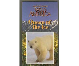 Marty Stouffer's Wild America: Queen of the Ice (Episodio 114)