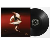 Maruja - Pain To Power