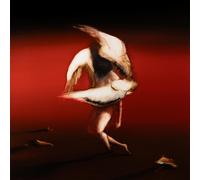 Maruja Pain to Power (Vinyl) (Importación USA)