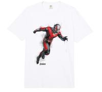 Marvel Ant-Man Scott Lang Avengers Endgame Paint Portrait Comfort Colors Adult Heavyweight T-Shirt
