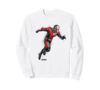 Marvel Ant-Man Scott Lang Avengers Endgame Paint Portrait Sudadera