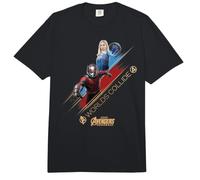 Marvel Avengers Doomsday Worlds Collide Ant-Man & Sue Storm Comfort Colors Adult Heavyweight T-Shirt