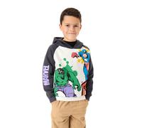 Marvel Avengers Gris Multi Character Sudadera con capucha Niños unisex