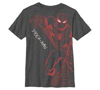 Marvel Boys' Spider-Man Web Slinging Poster T-Shirt, Black