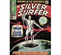 Marvel Impresión sobre Lienzo Silver Surfer The Origin, Lona, Multicolor, 60 x 80 cm