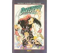 Marvel Knights Daredevil 02