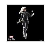 Marvel Legends - Marvel Gamerverse - Gata Negra Felicia Hardy