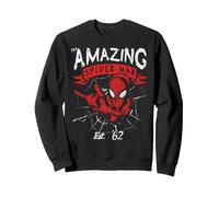 Marvel The Amazing Spider-Man Banner Logo Portrait Sudadera, Unisex para Adultos, Negro, XL